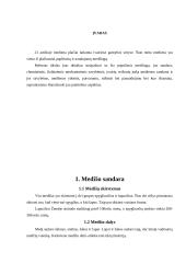 Medienos paruošimas 3 puslapis