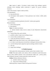 Medienos paruošimas 4 puslapis