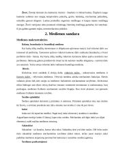 Medienos paruošimas 5 puslapis