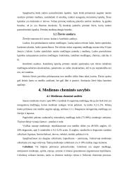 Medienos paruošimas 8 puslapis