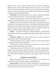 Medienos paruošimas 9 puslapis