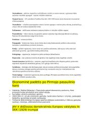 Tarpukario išsamus konspektas 2 puslapis