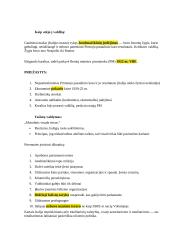 Tarpukario išsamus konspektas 11 puslapis