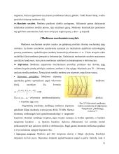 Mediena. Medienos savybės 10 puslapis