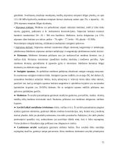 Mediena. Medienos savybės 11 puslapis