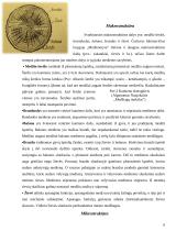 Mediena. Medienos savybės 5 puslapis