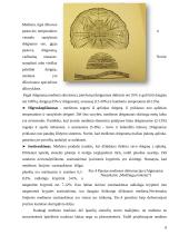 Mediena. Medienos savybės 7 puslapis