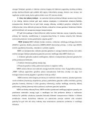 Medžiagų srautų valdymas 11 puslapis