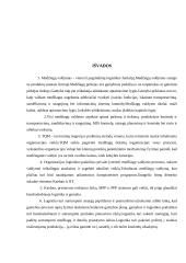 Medžiagų srautų valdymas 14 puslapis