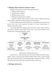 Medžiagų srautų valdymas 4 puslapis