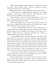 Medžiagų srautų valdymas 5 puslapis