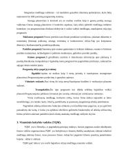 Medžiagų srautų valdymas 6 puslapis