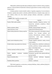 Medžiagų srautų valdymas 7 puslapis