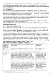 Literatūros kurso kartojimas 11-12 klasei 2 puslapis