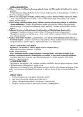 Literatūros kurso kartojimas 11-12 klasei 15 puslapis