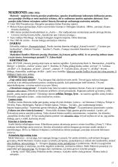 Literatūros kurso kartojimas 11-12 klasei 17 puslapis