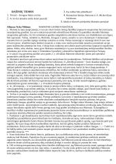 Literatūros kurso kartojimas 11-12 klasei 18 puslapis