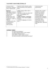 Literatūros kurso kartojimas 11-12 klasei 5 puslapis