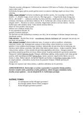 Literatūros kurso kartojimas 11-12 klasei 8 puslapis