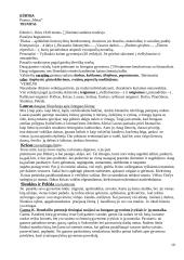 Literatūros kurso kartojimas 11-12 klasei 10 puslapis