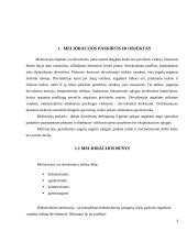 Melioracijos paskirtis ir rūšys 4 puslapis