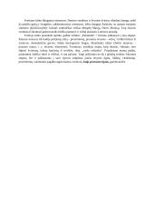 Adomas Mickevičius 1798-1855 - kontekstai 2 puslapis