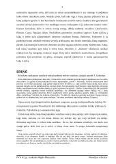 Metafizinių laiko ir erdvės sampratų įvairovė 3 puslapis