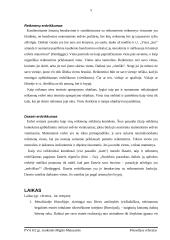 Metafizinių laiko ir erdvės sampratų įvairovė 5 puslapis