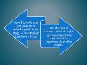 Memuarai, dokumentika “Dievų miške” - kuo kitokia ši knyga? 4 puslapis