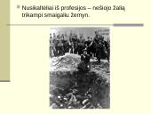 Lagerio vidinė konstrukcija 13 puslapis