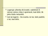 Lagerio vidinė konstrukcija 17 puslapis