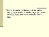 Lagerio vidinė konstrukcija 18 puslapis