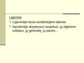 Lagerio vidinė konstrukcija 20 puslapis