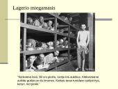 Lagerio vidinė konstrukcija 4 puslapis