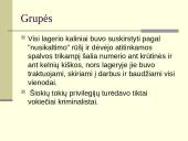 Lagerio vidinė konstrukcija 6 puslapis