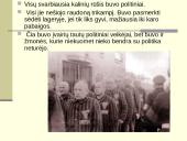 Lagerio vidinė konstrukcija 7 puslapis