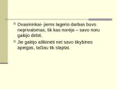 Lagerio vidinė konstrukcija 9 puslapis