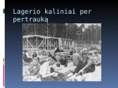 Lagerio darbai, bausmės, mityba, apranga 12 puslapis