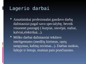 Lagerio darbai, bausmės, mityba, apranga 13 puslapis