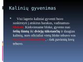 Lagerio darbai, bausmės, mityba, apranga 3 puslapis