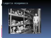 Lagerio darbai, bausmės, mityba, apranga 9 puslapis