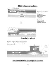Metalų savybių pagerinimas specialių apdirbimų būdais 14 puslapis