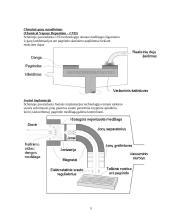 Metalų savybių pagerinimas specialių apdirbimų būdais 5 puslapis