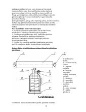 Metalų savybių pagerinimas specialių apdirbimų būdais 10 puslapis