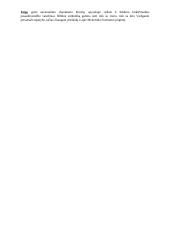 Viešpaties dienos rojus ir kasdienybės mistika Vaižganto eseistikoje ir apysakose 3 puslapis