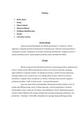 Miestų prieštaringumas 2 puslapis