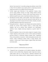 Gyventojų migracija  6 puslapis