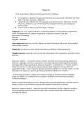 Migracijos problemų analizė: Lietuva, Lenkija, Vokietija, Prancūzija 6 puslapis