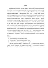 Mikro ir makro etinės problemos rekreacijos ir turizmo versle 3 puslapis