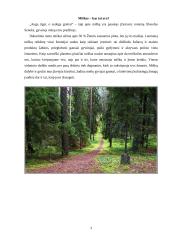 Miškų gaisrai 3 puslapis